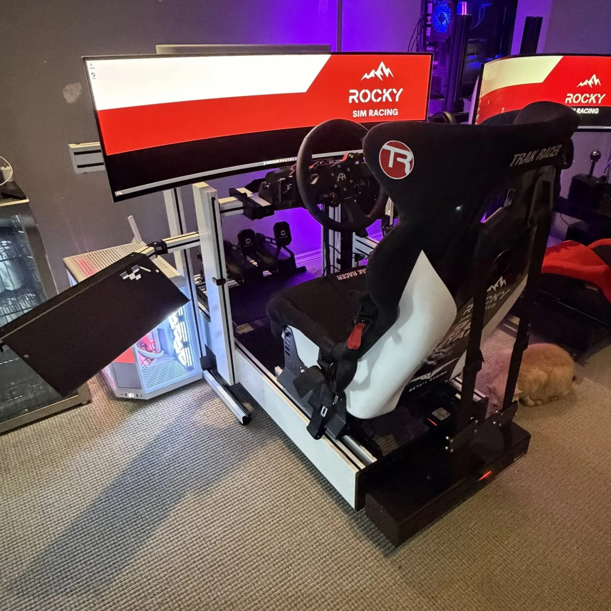 The White Racing Simulator build